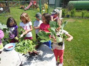 Zahradničíme ve školce